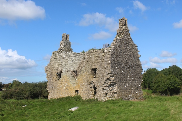 Dundonnell Castle, Co. Roscommon.