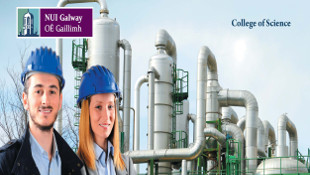 Occupational and Environmental Health & Safety