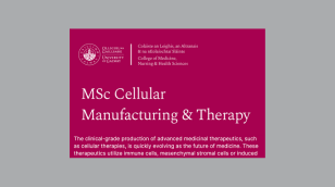 MSc Cellular Manufacturing and Therapy Brochure 2024