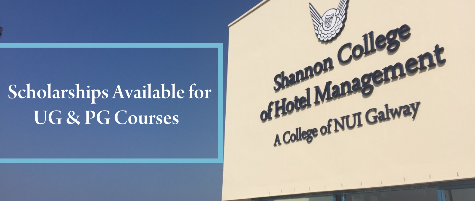 Shannon College Scholarships 
