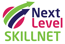 Next Level Skillnets logo FINAL