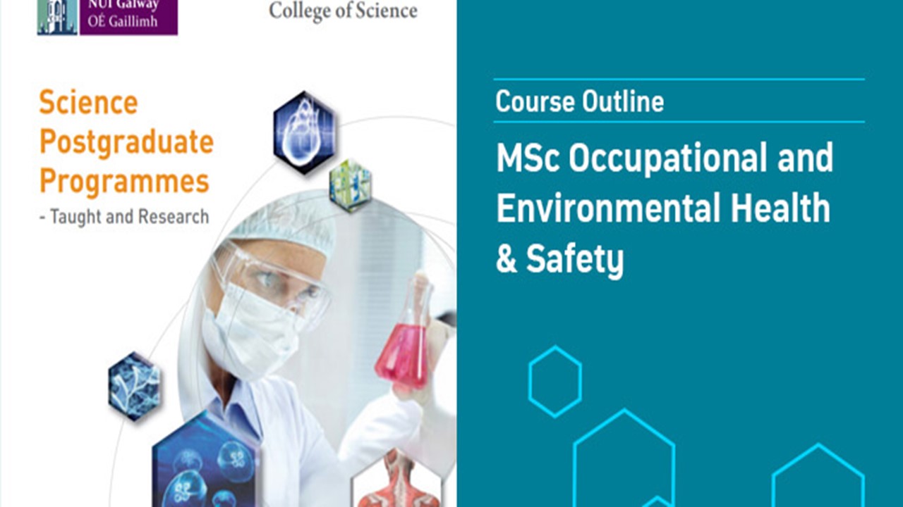 MSc Occupational and Environmental Health & Safety