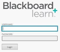 Blackboard Login
