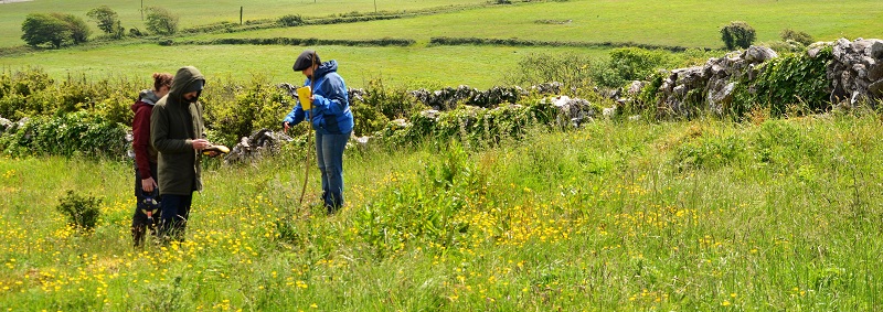MA in Landscape Archaeology - Burren Field-school 2021