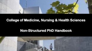 Non Structured PhD Handbook