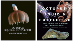 Octopus, Squid, Cuttlefish