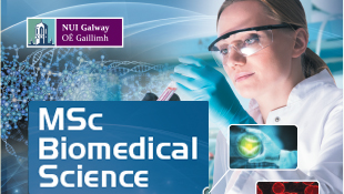MSc Biomedical Science Brochure