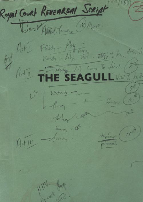Thomas Kilroy's _The Seagull_