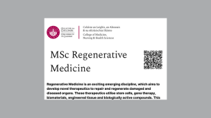 MSc Regenerative Medicine Brochure 2024