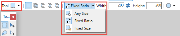 Paint.net Rectangle Tool Ribbon with Size options highlighted