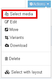 Actions Menu in the Media Library with Select media highlighted