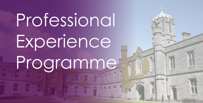 Professional Experience Programme