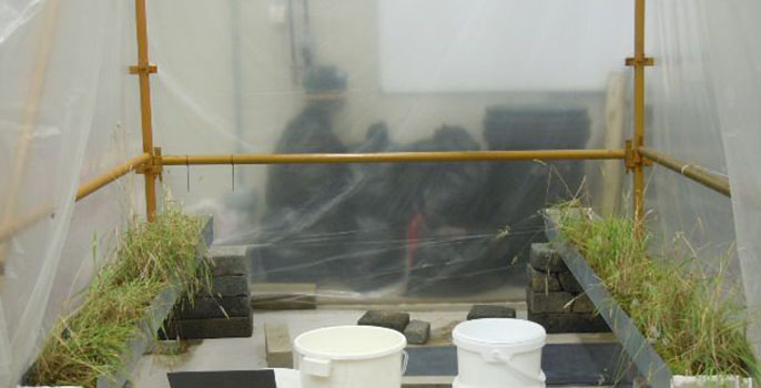 Wet Soils Lab